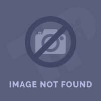 Presentación de Examen Profesional 2025