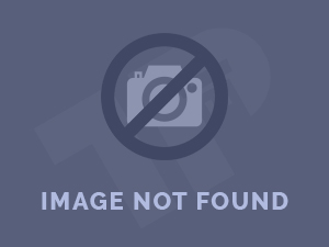 Concurso Altares Dia de Muertos 2025